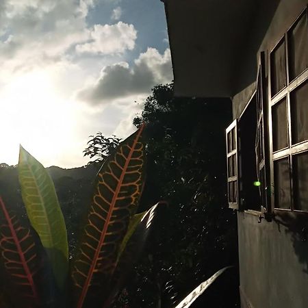 Villa Casa Sossego Da Mata Itacaré Exterior foto